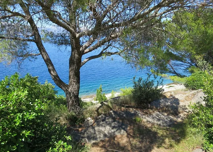 Prime And Exclusive Seafront Location Sunset * تربانج