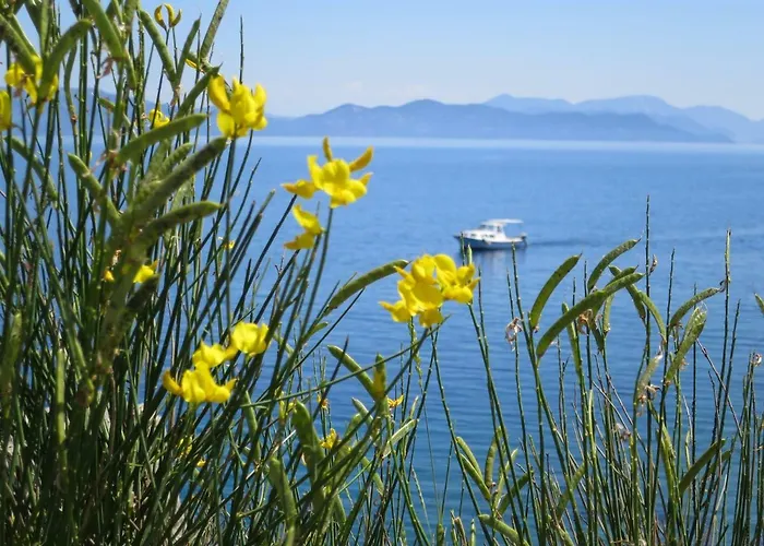 Prime And Exclusive Seafront Location Sunset تربانج